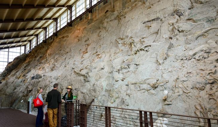 The bones at Dinosaur National Monument